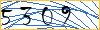 Enter the symbols from image