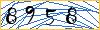 Enter the symbols from image