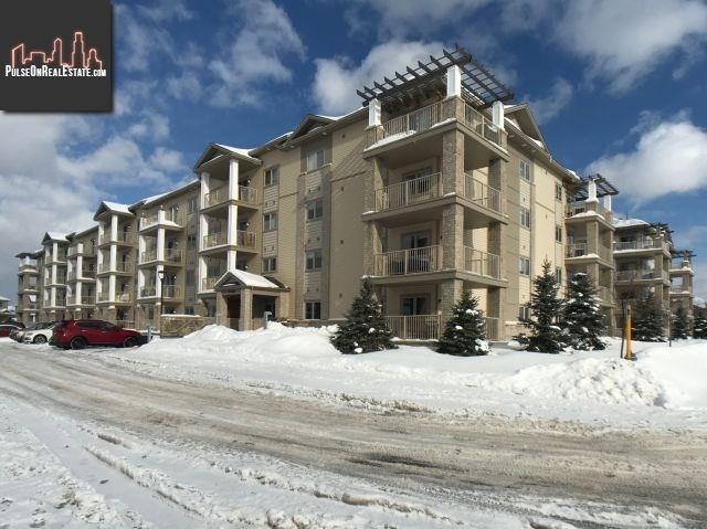 Property 141 Potts Private Unit#205 main img