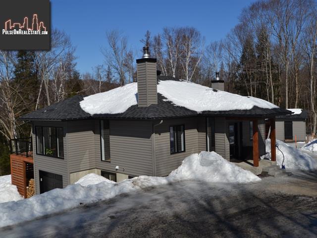 Property 1170 Ch. Du Lac-Renaud main img