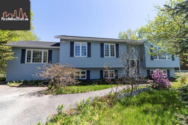Property 8 Earle Drive main img
