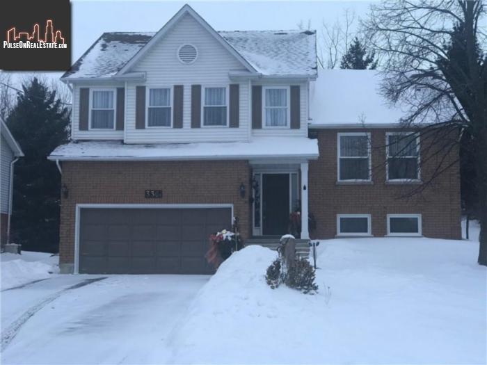 Property 336a Cavan Street main img