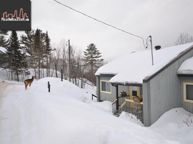 Property 182 Rue Pinoteau main img