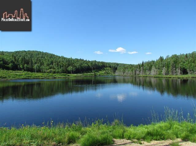 Property 289 Ch. De Port-Aux-Quilles main img
