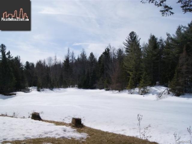 Property 210 Ch. Du Lac-Chevreuil img1