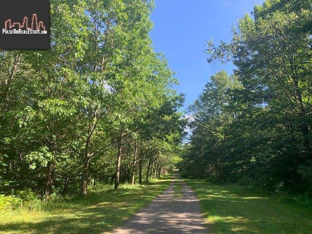 Property 1350z Ch. Robidoux main img