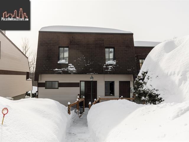 Property 729 Rue Richer main img