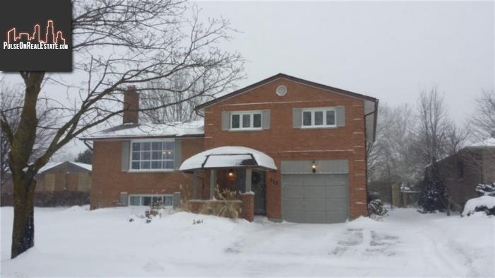 Property 117 Dixon Road main img