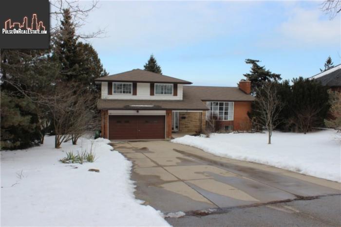 Property 38 Jenny Court main img