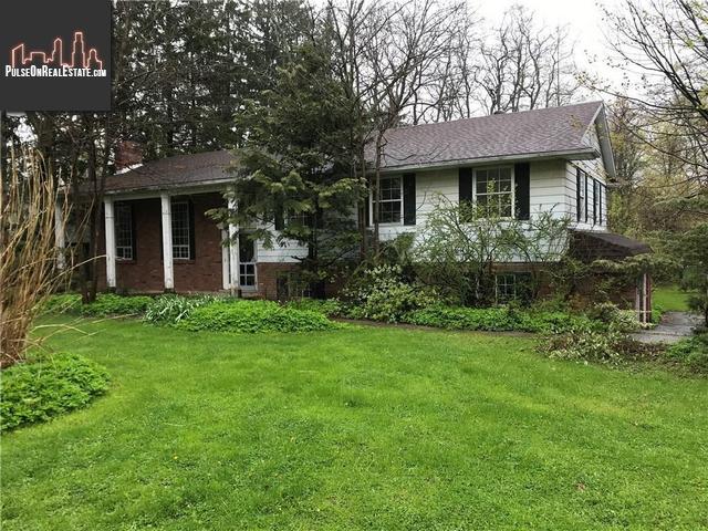 Property 31 Circle Street main img