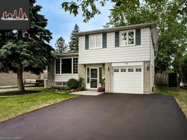 Property 44 Forest Drive main img