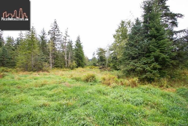 Property 710 Sayward Rd main img