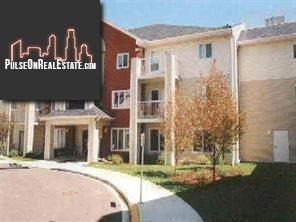 Property 244 56 Carroll Crescent main img