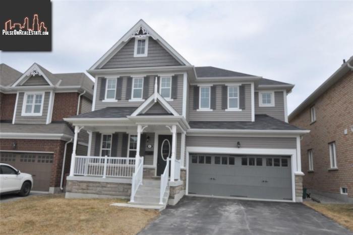 Property 87 Evans Road main img