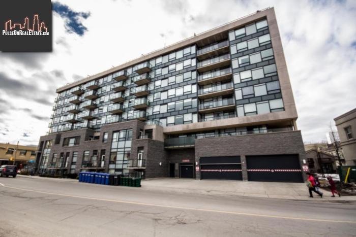 Property 121 Queen St #203 main img