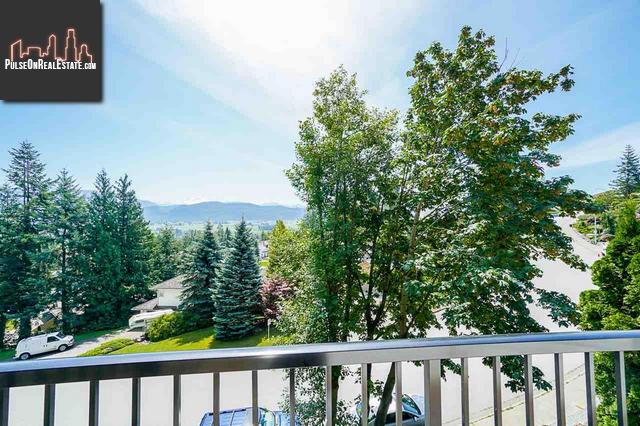 Property 2253 Mountain Drive main img