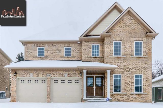 Property 43 Goodall Crt main img