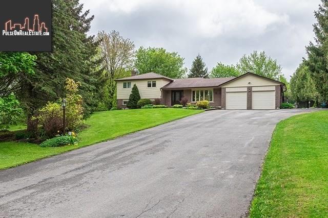 Property 18 Mckibbon Ave main img